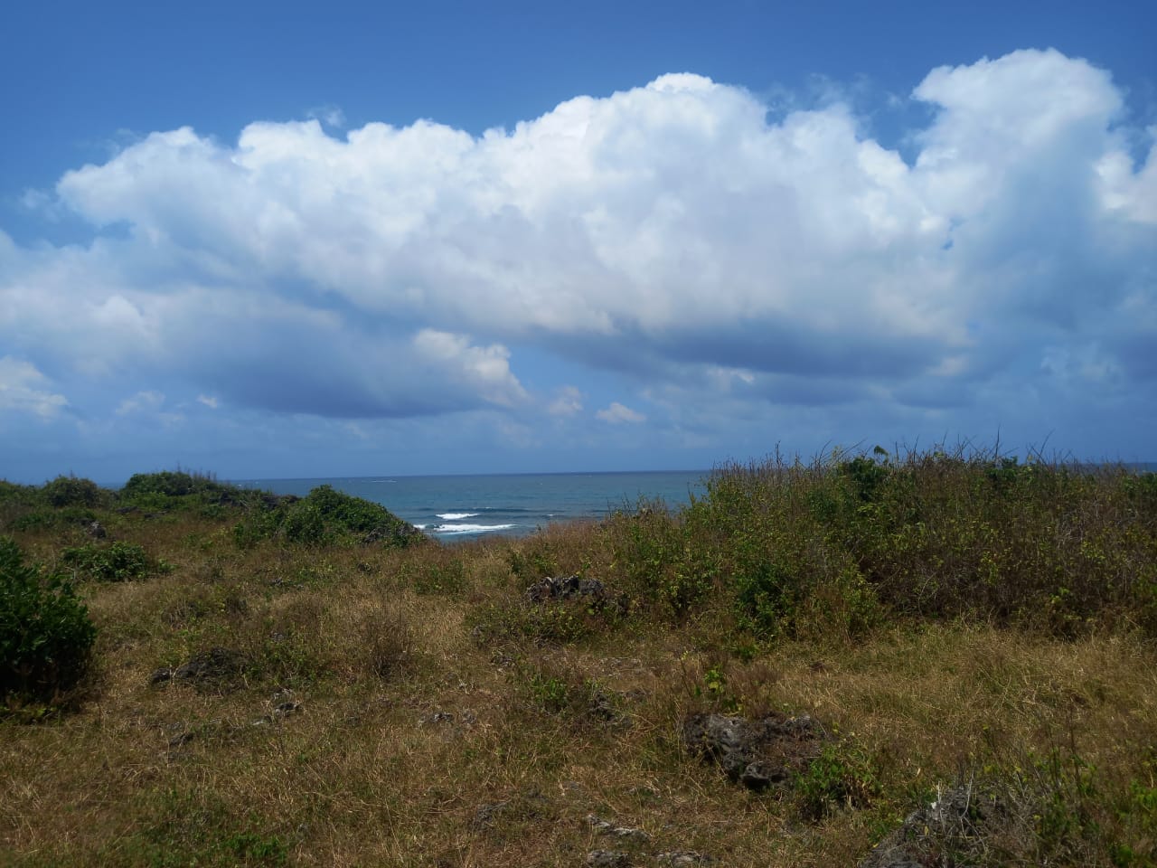 Takaungu Ocean Views